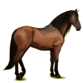 Cheval de selle Lipizzan Noir