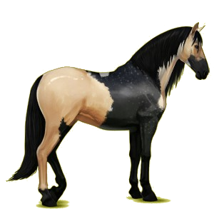 Cheval de selle Barbe Gris Clair