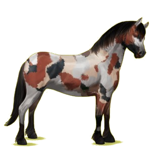 X