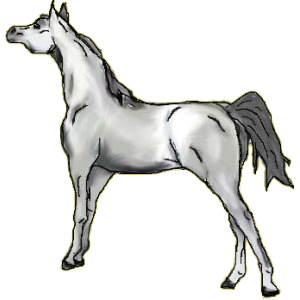 Cheval de selle Quarter Horse Alezan