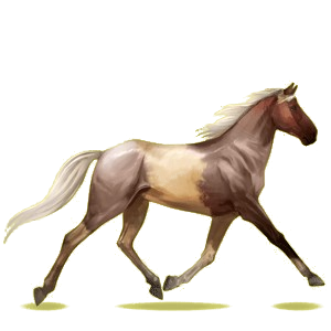 Cheval de selle Trotteur Français Bai