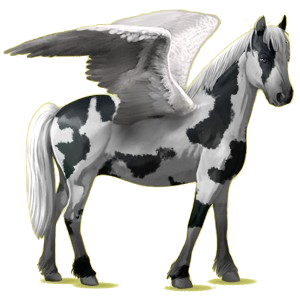 X