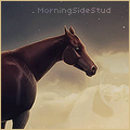 morningsidestud