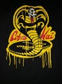 cobra kaï