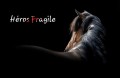 héros fragile