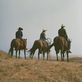 cowboy's river