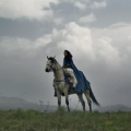 rohan's cavalry