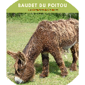 les baudets de la mort