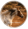 eѕcαped нorѕeѕ