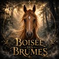 les misaki des brumes ⸙