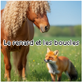 le renard et les boucles