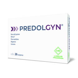 Predolgyn