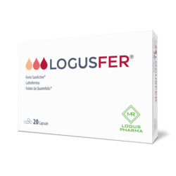 Logusfer