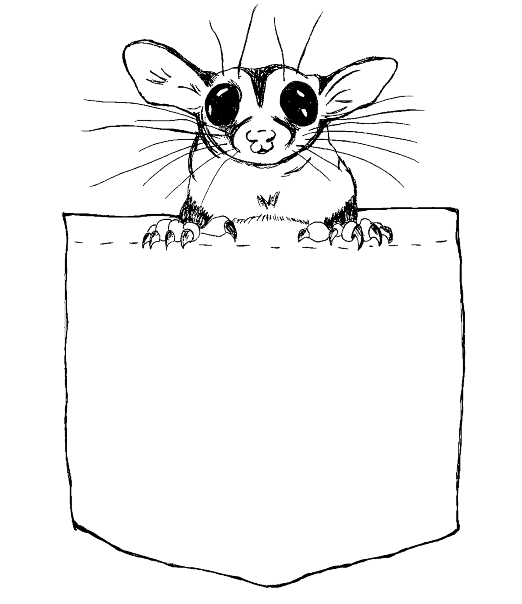 Pocket glider - sugar glider in pocket/pouch onesie design