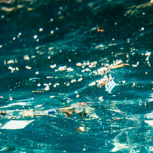 Plastic floating in the see