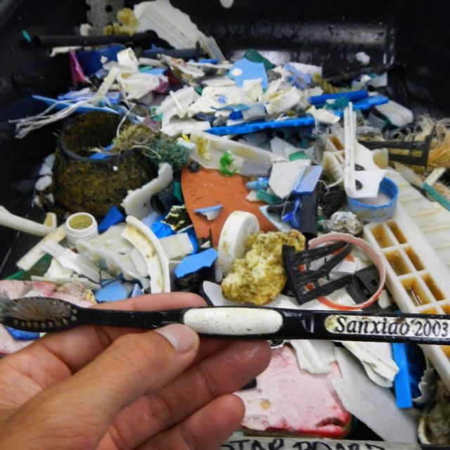 Plastic found by the Ocean Cleanup Mega expedition