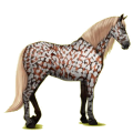 Riding Horse Purebred Spanish Horse Dapple Grey