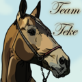 team teke