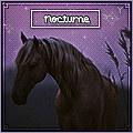 Ɲoctυяηє