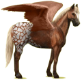 Pégaso de passeio Cavalo Quarto de Milha Lazão