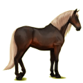 Cavalo de passeio Puro Sangue Lusitano Ruço pigarço