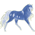 Cavalo de passeio Cavalo Don Russo Castanho escuro