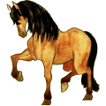 Cavalo de passeio Puro sangue inglês Ruço pigarço