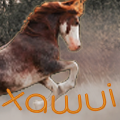 xawui