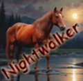nightwalker
