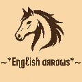 ~*eɳgℓisɦ αяʀσωs*~