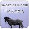 ༺ghost of winter༻