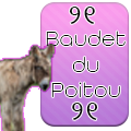 ୨୧ baudet du poitou ୨୧