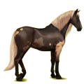 Pegasus-Reitpferd Andalusier Apfelschimmel