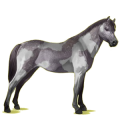 Pony Dunkelfuchs