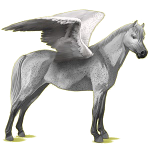 Pegasus-Pony Deutsches Reitpony Brauner