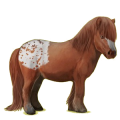 Pony Shetlandpony Fuchs