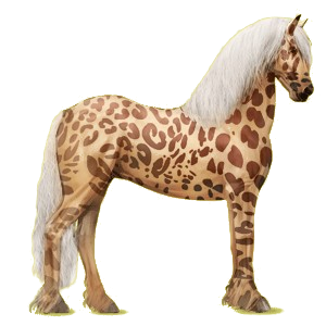 Reitpferd Friese Rappe