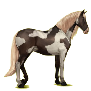 Pegasus-Reitpferd Andalusier Apfelschimmel