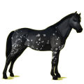 Pony Deutsches Reitpony Rappe