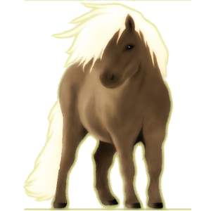 Pony Shetlandpony Dunkelfuchs mit heller Mähne