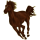 Reitpferd Morgan Dunkelfuchs