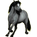 Pony Deutsches Reitpony Hellgrau