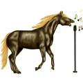 Reitpferd Friese Rappe