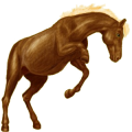 Pony Quarter Pony Dunkelbrauner
