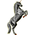 Einhorn-Reitpferd Araber Apfelschimmel