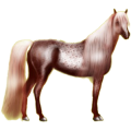 Reitpferd Quarter Horse Roan