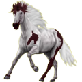 Reitpferd Selle Français Dunkelbrauner
