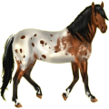 Reitpferd Orlow-Traber Hellgrau
