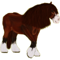 Reitpferd Friese Rappe