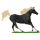 Reitpferd Knabstrupper schwarzer Leopard